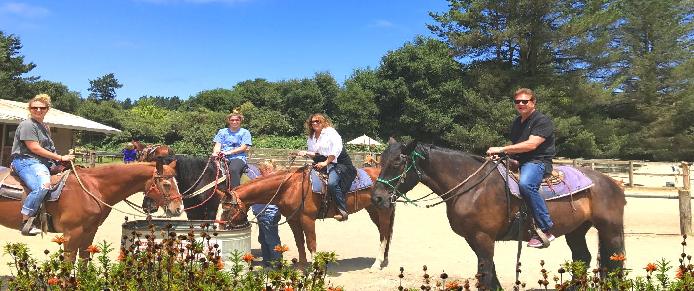 HORSEBACK RIDES IN MUIR WOODS SAN FRANCISCO TOURS